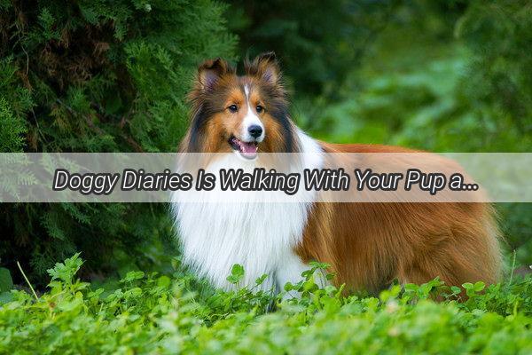 Doggy Diaries Is Walking With Your Pup a Walk in the Park or a Challenge